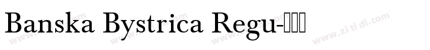 Banska Bystrica Regu字体转换